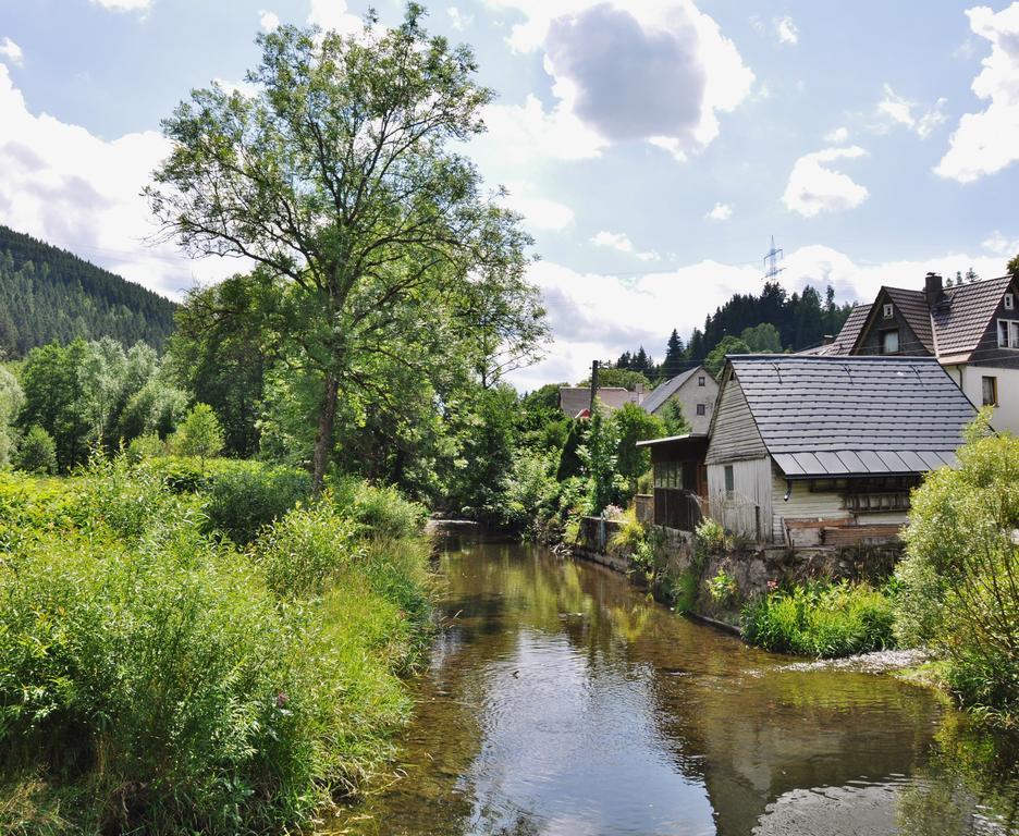 Flair-Hotel Waldfrieden Oberweißbach Exterior foto
